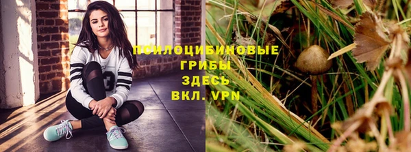 герыч Алзамай