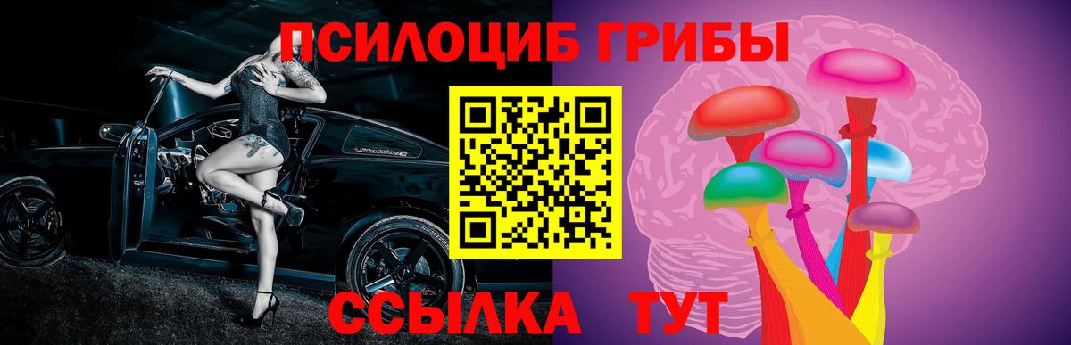 Галлюциногенные грибы мицелий  Вход с VPN  цены наркотик  Новокузнецк  Галлюциногенные грибы мухоморы 