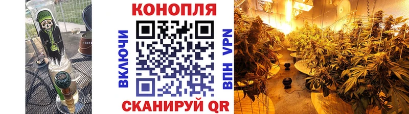 Шишки марихуана индика  Новокузнецк 